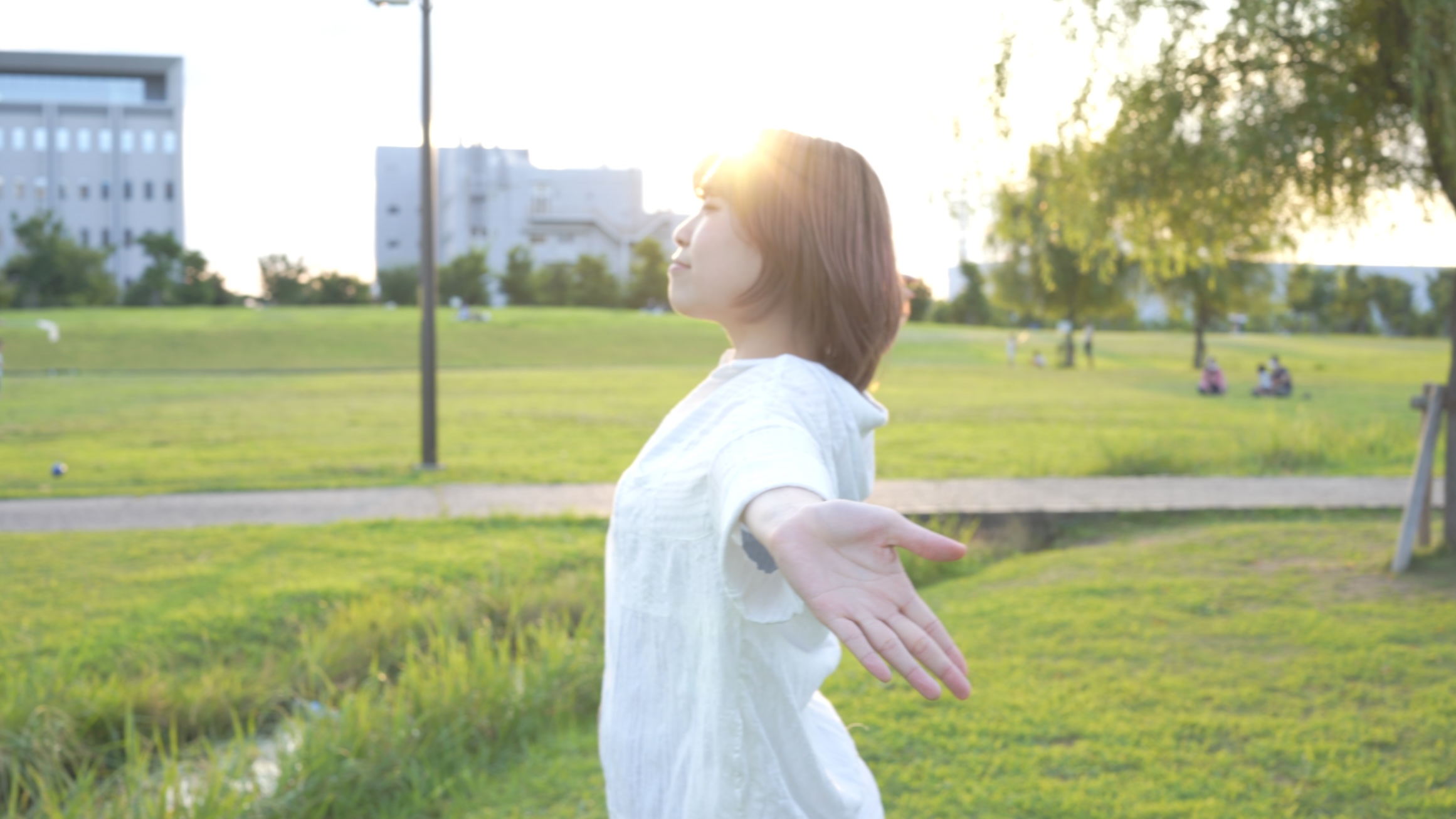 Music video of Fiction!